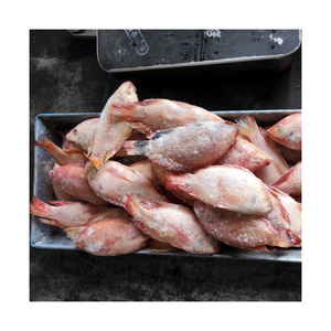 Tilapia roja congelada de primera calidad disponible a precio de fábrica para suministro a granel y comercio mayorista - Product Image 5