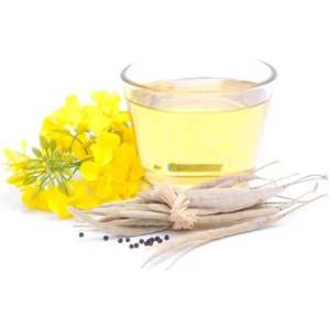 Aceite esencial de bálsamo gurjun puro 100% Aceite esencial de bálsamo gurjun al por mayor Aceite esencial de bálsamo gurjun natural y puro - Product Image 2