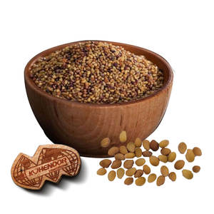 Trébol Berseem | Excelente Material de Ensilaje para Ganado - Product Image 6