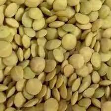 Full Circle Organic Green <b>Lentils</b> For Sale - Product Image 6
