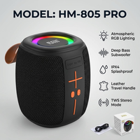 Lecteur audio sans fil mini portable avec lumière LED RVB, caisson de basses puissant, son acoustique clair TWS, pour extérieur, jardin, camping, enceinte sonore