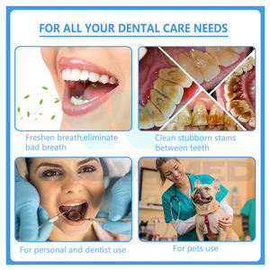 Service léger OEM ODM Instruments d'hygiène dentaire manuels en acier inoxydable certifiés CE Logo personnalisé Oral de haute qualité - Product Image 6