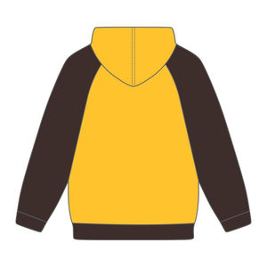 Sudadera con Capucha Iota Phi Theta, Color Dorado, Mangas Raglán Marrones, Mezcla de Algodón, Ropa de Fraternidad Griega, Diseño Personalizado Divine Nine HBCU - Product Image 3