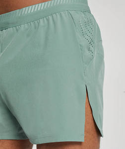 Shorts de sport pour hommes en toile de couleur unie, écologiques, à séchage rapide, respirants, imperméables, avec taille élastique, pour la gym, le fitness et le jogging - Product Image 3