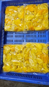 Rodajas de Jaca congeladas maduras para fabricantes de postres congelados Minoristas de frutas y proveedores de embalaje de exportación - Product Image 2