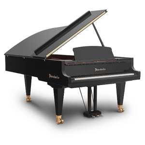 NUEVO y EXCELENTE Piano de concierto Grand 230VC y Uprights - Product Image 1