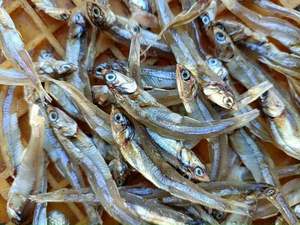 ปลาแอนโชวี่ต้มแห้ง - ปลาแห้งคุณค่าทางโภชนาการสูงสำหรับตลาดโลก - Product Image 5