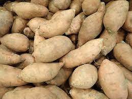 Patates douces fraîches de qualité supérieure, forme allongée, durée de conservation de 15 jours, marque Saremco, vente en gros du Pakistan, en vente - Product Image 3
