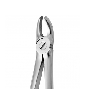 Fórceps de extracción Dental de alta calidad Serie Molar Fórceps de extracción Dental de acero inoxidable para patrón americano - Product Image 2