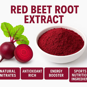 Red Beet Root <b>Extract</b> - Product Image 1