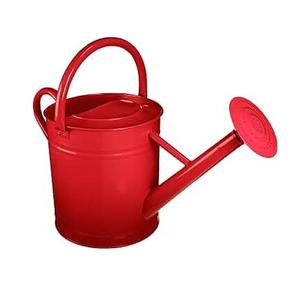 Fabrication en vrac Prix direct d'usine Arrosoir en métal Fait à la main Arrosoir en métal Produit le plus vendu - Product Image 6