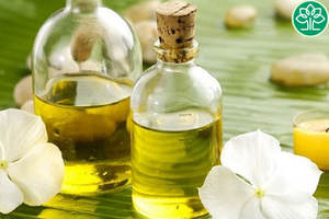 Approvisionnement d'usine 100% huile de Tamanu pure bon prix du Viet Nam - Product Image 4