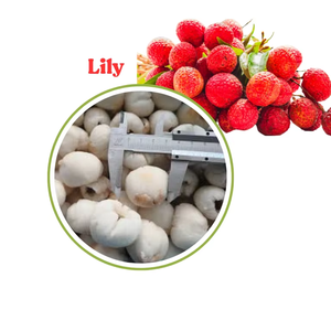 2025 litchi congelé avec peler/sans peler | Litchi IQF Premium pour l'exportation/Lily - Product Image 1