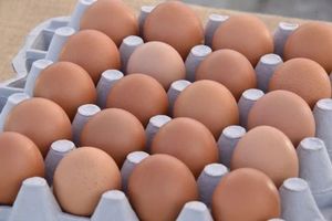 ไข่ไก่สดแบบใช้โต๊ะ - Product Image 6