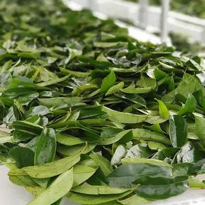 Hoja de Guanábana seca más vendida de Vietnam - Product Image 1