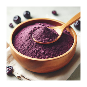 Fournisseur en gros Herbojit International – Poudre de Jamun naturelle séchée par pulvérisation, qualité alimentaire, soluble dans l'eau, biologique, fabriquée en Inde - Product Image 4