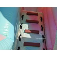 Château gonflable commercial de qualité supérieure avec toboggan et piscine, thème macaron pastel, fabrication directe OEM ODM