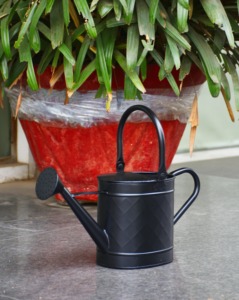 Arrosoir en métal élégant à poignée incurvée avec finition en zinc antique idéal pour une utilisation dans le jardin domestique et un affichage décoratif - Product Image 5