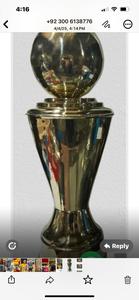 Stainless Steel Sports <b>Trophy</b> <b>Cup</b> Customized Achievement Award Display Durable Premium Quality - Product Image 2