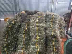 Fideos masticables de fideos de arrurruz de alta calidad Sabor delicioso DE EXPORTACIÓN DE Vietnam Precio más barato - Product Image 6