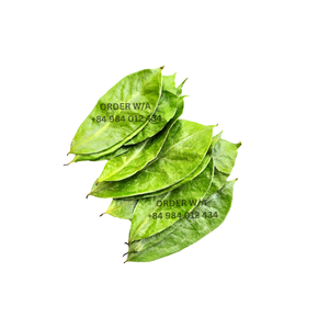 Feuilles de graviola séchées Feuilles de corossol 100% Naturel Original Vietnam Feuilles d'herbe séchée Feuilles de corossol Stand Up Teabag - Product Image 5