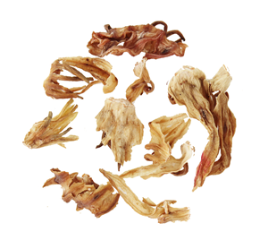 ดอกชบาสีขาวแห้ง อายุการเก็บรักษา 12 เดือน - Product Image 1