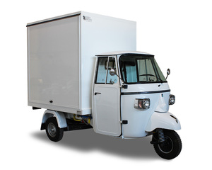 Triciclo Motorizado de Carrocería Cerrada Naranja, Rickshaw de Pasajeros, Capacidad de Carga 100-200 kg, 200-250 W, 36 V, 30-50 km/h, 3 Pasajeros - Product Image 3