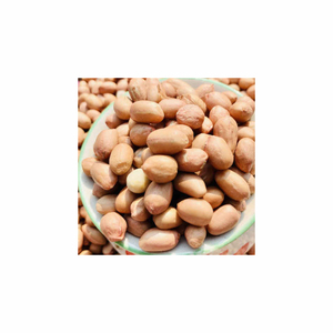 High Quality Bulk Raw <b>Peanuts</b> Dried Shell Roasted <b>Peanut</b> Ground Nuts Small Roasting Peeler for Ground - Product Image 6