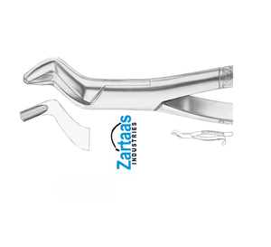 Fórceps de Extracción Dental de Acero Inoxidable de Alta Calidad para Molares Superiores, Figura 104, Exportadores y Fabricantes - Product Image 4