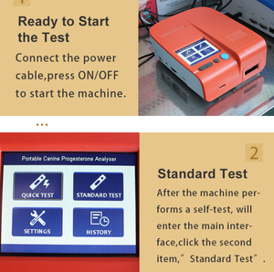 Medidor <span class=keywords><strong>de</strong></span> <span class=keywords><strong>Progesterona</strong></span> para Gestación Canina Zezhi, Analizador Veterinario <span class=keywords><strong>de</strong></span> HCG, Reactivo <span class=keywords><strong>de</strong></span> Prueba <span class=keywords><strong>de</strong></span> <span class=keywords><strong>Progesterona</strong></span> Q10, Diagnóstico In Vitro - Product Image 6