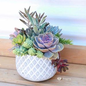 Creative Wooden Flowerpot Wishing Well Planter Waterproof Epoxy Coated Finish for Outdoor Home <b>Nursery</b> Decoration Durable Bark - Product Image 4
