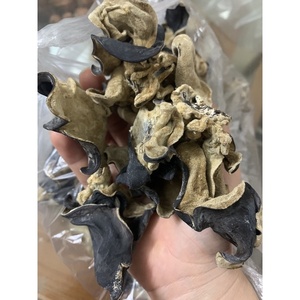 Champignons noirs séchés biologiques du Vietnam, champignons noirs entiers, champignons compressés, haute qualité - Product Image 5