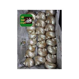 SERVILLETA ELEGANTE DE MADRE DE PERLA SOPORTE PREMIUM DE CONCHA PARA BODAS Y MESAS DE FIESTA DECORACIÓN HECHA EN VIETNAM - Product Image 5