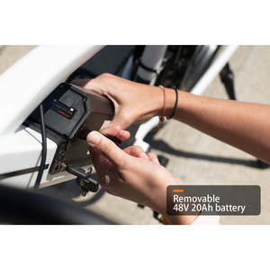 Haoqi บันไดจักรยานไฟฟ้าสำหรับปั่นในเมืองได้รับการรับรองจาก UL ลายเสือดาวสีขาว - Product Image 6