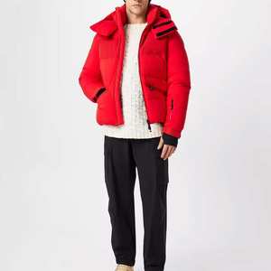 Logo personnalisé OEM ODM Veste matelassée coupe-vent d'extérieur pour l'hiver pour hommes Vestes solides à capuche Nouveau design pour les hommes - Product Image 3