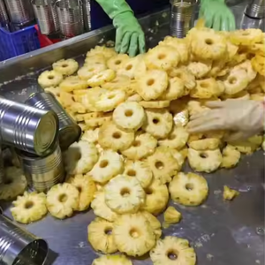 Piña enlatada de alta calidad de Vietnam/Piña fresca y asequible/Sra. Jessi - Product Image 2