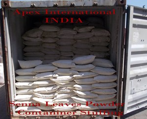 Polvo de Hoja de Moringa Oleifera Pura, Polvo de Hojas de Moringa Secas, Marca Apex de Rajasthan, India - Product Image 5