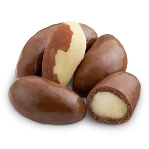 Nueces de Brasil Frescas de Primera Calidad para Exportación a Granel - Product Image 1