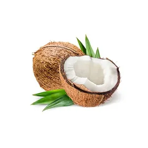 Coconut Oil Suppliers and Supplier of Organic Coconut Oil online