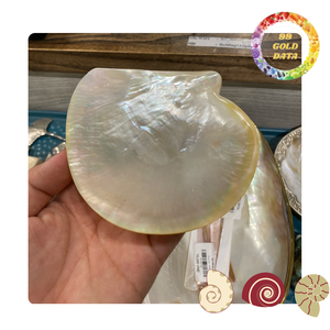 จานไข่มุกสุดสร้างสรรค์จากเวียดนาม | เหมาะสำหรับตกแต่งบ้าน/ร้านอาหาร/รีสอร์ทและเป็นของขวัญ - Product Image 5