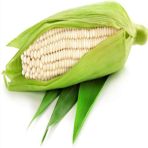 Grain de maïs séché blanc biologique non gluant de la meilleure qualité avec un excellent prix et un service client professionnel - Product Image 5