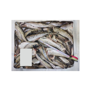 Suministro a granel de abadejo de Alaska congelado de alta calidad distribuidor confiable de mariscos - Product Image 5