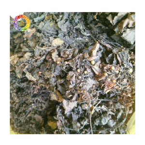 Suplemento de Algas Marinas para Cultivos con Polvo de Algas Sargassum y Polvo de Ácido Algínico, Alimento para Mascotas, Suplemento Mineral a Granel - Product Image 6