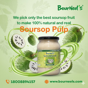 Tarro de pulpa de fruta de Guanábana 500GM Graviola Laxman Phal sin aditivos sin conservante súper fruta vitamina C - Product Image 5