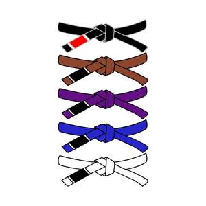 Jiu jitsu-cinturones personalizados con logo bordado - Product Image 6