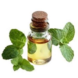 Aceite de menta orgánico en botella de plástico Aceite natural refinado para venta a granel También disponible en embalaje de tambor - Product Image 3