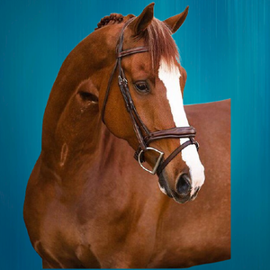 Haute qualité prix bon marché bride de course de chevaux équestre bride de course de chevaux équestre personnalisée - Product Image 5