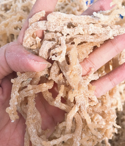 Dried Seaweed Eucheuma Cottonii <b>Irish</b> <b>Moss</b> / Seamoss Lowest Moistures From Vietnam Golden <b>Moss</b> Delicious Flavore Premium Grade - Product Image 3