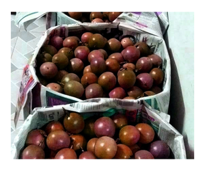 เสาวรส100% ผักสดพรีเมี่ยมจากฟาร์มเวียดนาม - Product Image 1