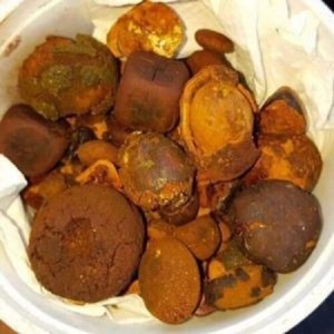 ผู้จัดจำหน่ายวัตถุดิบยาสมุนไพรธรรมชาติ บีโซอาร์ โบวิส อ็อกซ์ แกลลสโตน พรีเมียม แบบแห้ง - Product Image 1